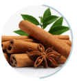 Cinnamon bark extract 