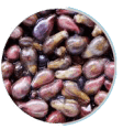Grape seed extract